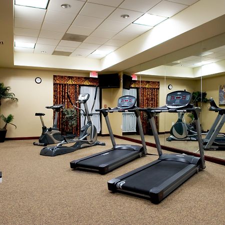 Holiday Inn Express Hotel & Suites Dallas Fort Worth Airport South By Ihg Irving Exterior photo